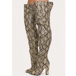Pointy Toe Thigh High Chunky Boot